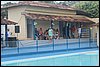 IMG_4102.JPG