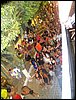100_1573.JPG