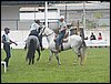 101_0017.JPG