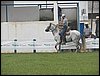 101_0020.JPG