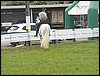 101_0025.JPG