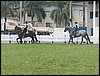 101_0037.JPG