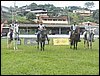 101_0040.JPG