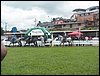 101_0045.JPG