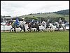 101_0046.JPG