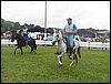 101_0053.JPG