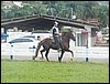 101_0054.JPG