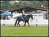101_0056.JPG