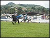 101_0064.JPG