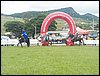 101_0070.JPG