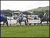 101_0071.JPG