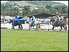 101_0072.JPG