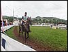SAM_3648.JPG