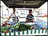 IMG_0245.JPG
