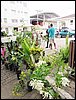 IMG_0248.JPG