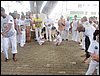 IMG_0252.JPG