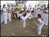 IMG_0259.JPG