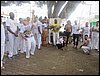 IMG_0267.JPG
