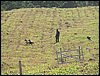 101_0170.JPG