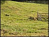 101_0172.JPG