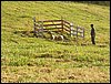 101_0174.JPG