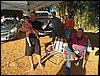 101_0176.JPG