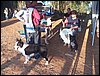 101_0216.JPG