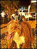 101_0226.JPG
