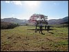 IMG_0334.JPG