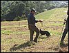 IMG_0336.JPG