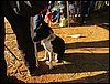 IMG_0346.JPG