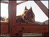 IMG_0358.JPG