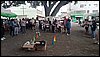 11mov (9).jpg
