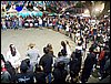 101_1179.JPG