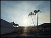 P7050001.JPG