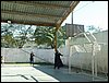 P7050039.JPG