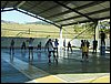 P7050040.JPG