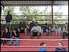 101_1625.JPG