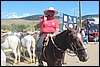 IMG_5207.JPG