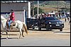 IMG_5243.JPG