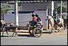 IMG_5245.JPG