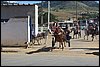 IMG_5247.JPG