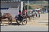 IMG_5249.JPG