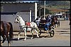 IMG_5251.JPG