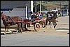 IMG_5252.JPG