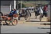 IMG_5253.JPG