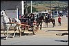 IMG_5255.JPG