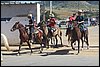 IMG_5259.JPG