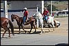 IMG_5261.JPG