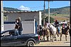 IMG_5263.JPG